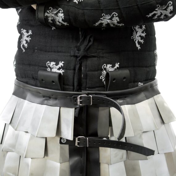 Titanium scales skirt for armored combat buckles