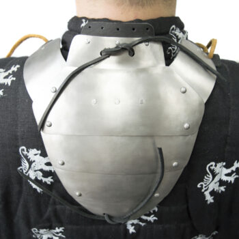 Titanium neck and collarbone protection on gambezone