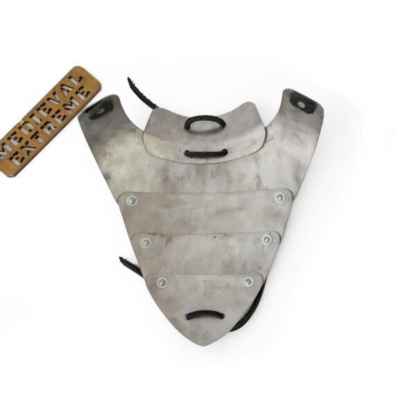 Titanium neck and collarbone protection from inside