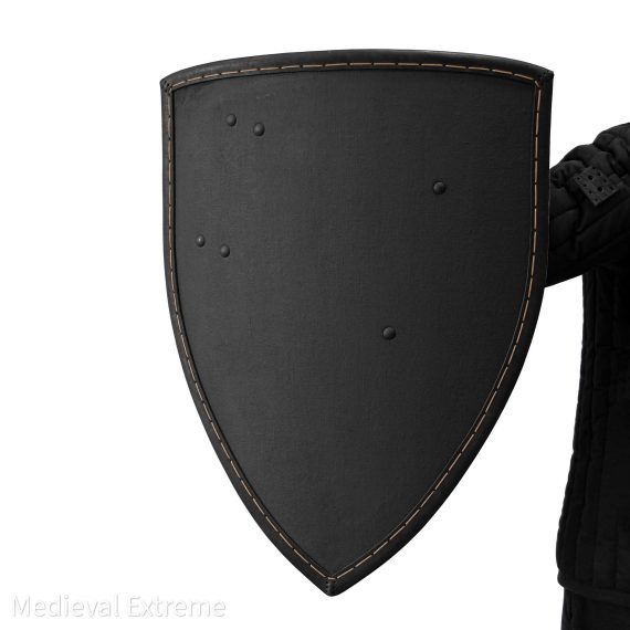 Heather shield for armored combat in hands