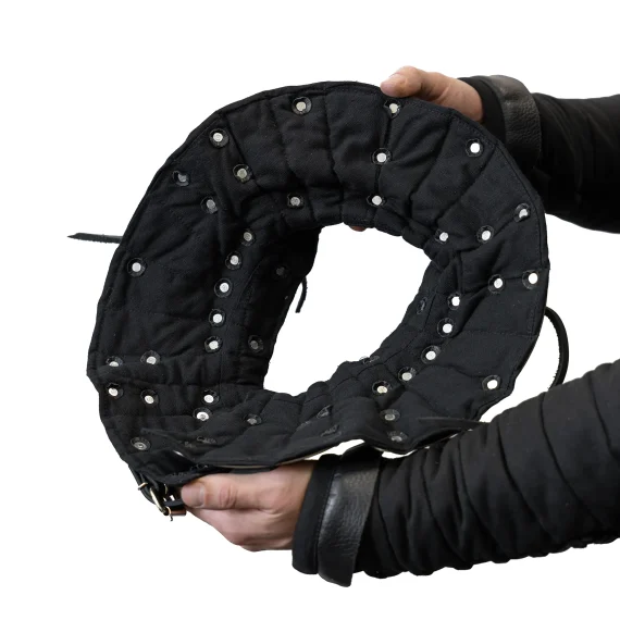 Advanced titanium gorget for armored combat with reinforced VT-1 titanium plates from inside