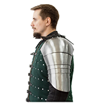 Arms protection